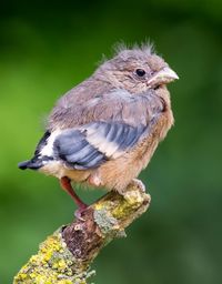 Foto © Marcel Burkhardt Foto © Marcel Burkhardt