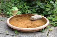 Einfacher Trink- und Badeplatz im Garten Einfacher Trink- und Badeplatz im Garten