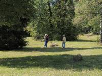 Und nochmals zwei Haufen