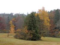 22-BoppWeidHerbst-DSCN8782-AB